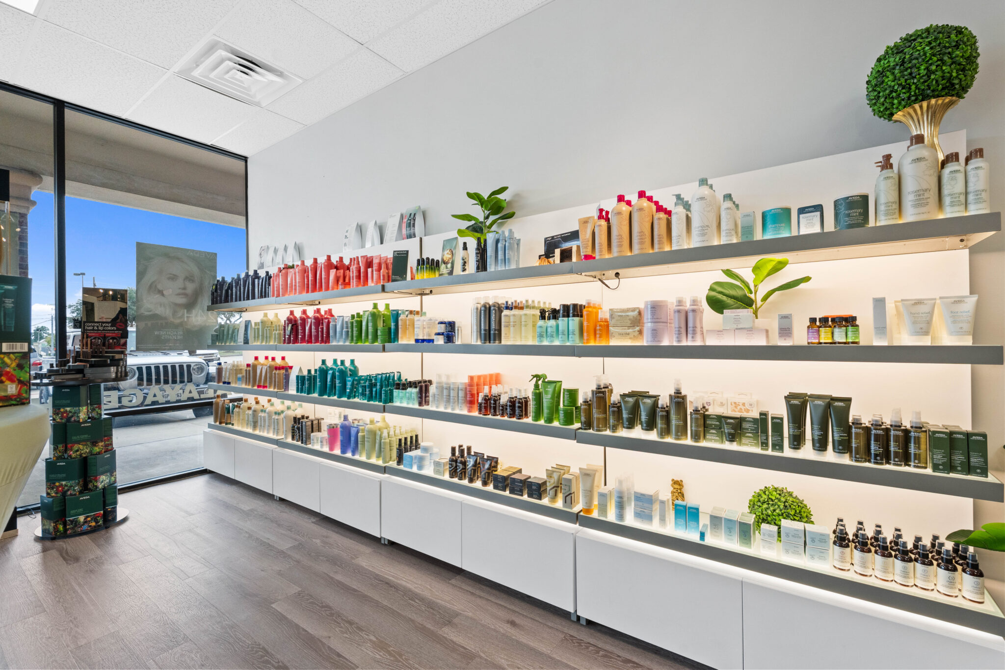 Color Bar San Ramon Hair Salon in Conroe, TX | The Color Bar