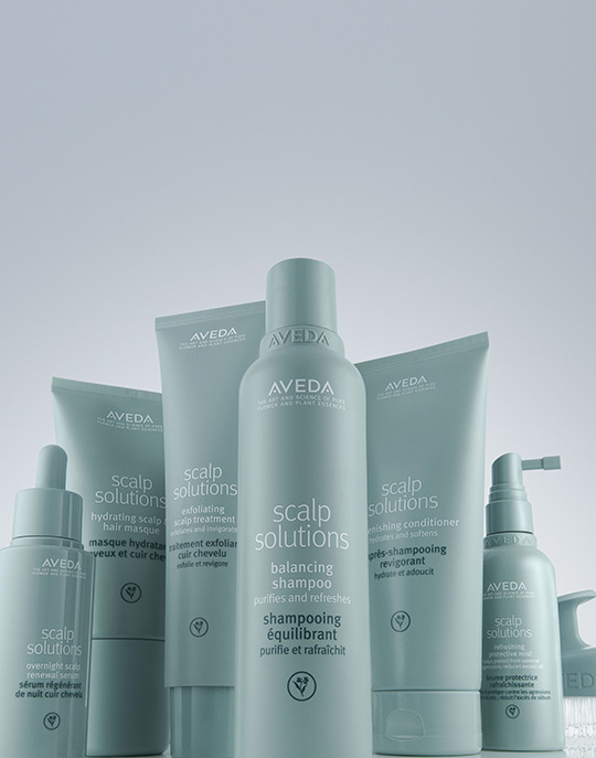 - The Color Bar, TX A group of Aveda Scalp Solutions hair care products, including shampoo, conditioner, treatment, and serums—your ultimate scalp guide for optimal scalp health—arranged against a pale background. - The Color Bar, TX
